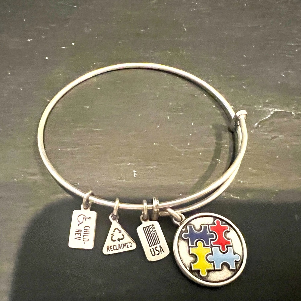 Wind and Fire Autism Enameled Puzzle Piece Charm Bangle